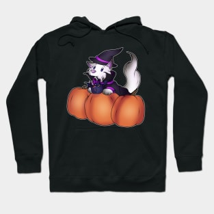 Witch Dogtor Hoodie